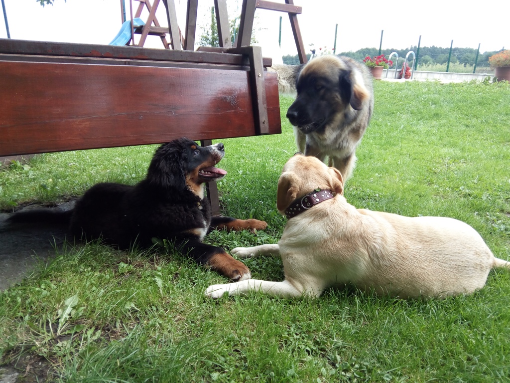 Fotogalerie penzionu Diana 18.